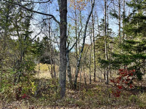 Lot 002 Hadley Point RD, Bar Harbor, ME 04609