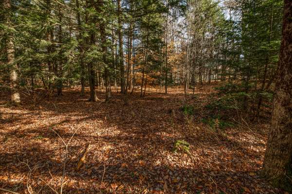 Lot 4 Pine ST, Farmingdale, ME 04344