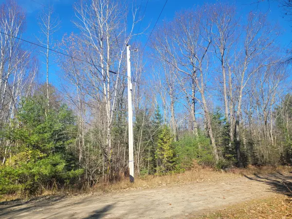 Burnham, ME 04922,Lot 08-01 Perkins RD