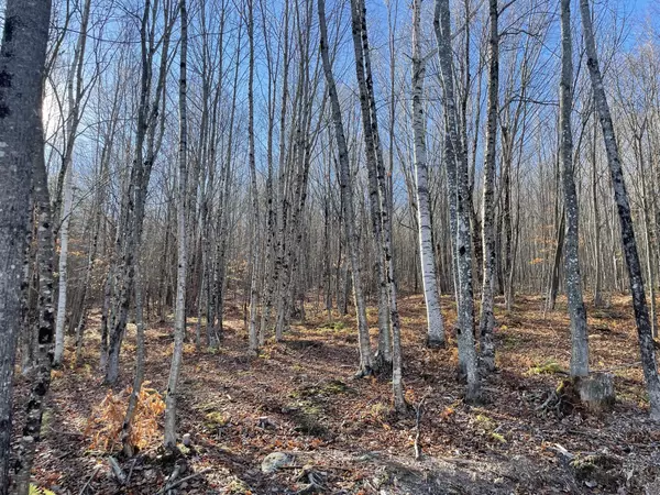 Woodstock, ME 04219,17 Outlook Road