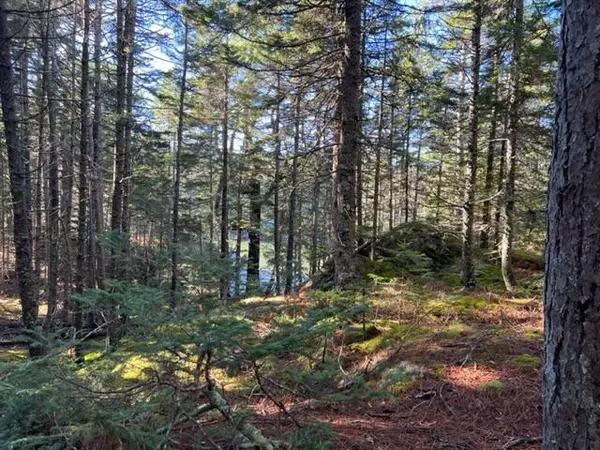 Vinalhaven, ME 04863,9-74-001 YOUNGS RD