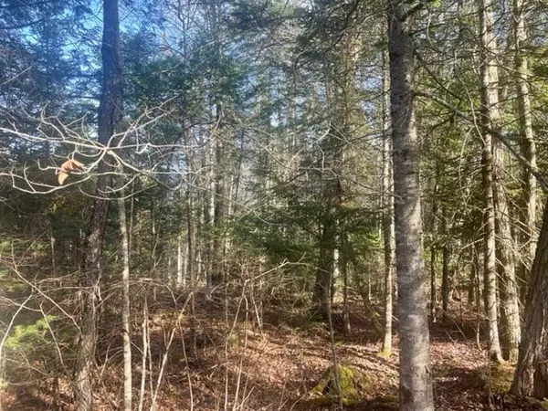 Palmyra, ME 04965,M2 L21 South Ridge RD