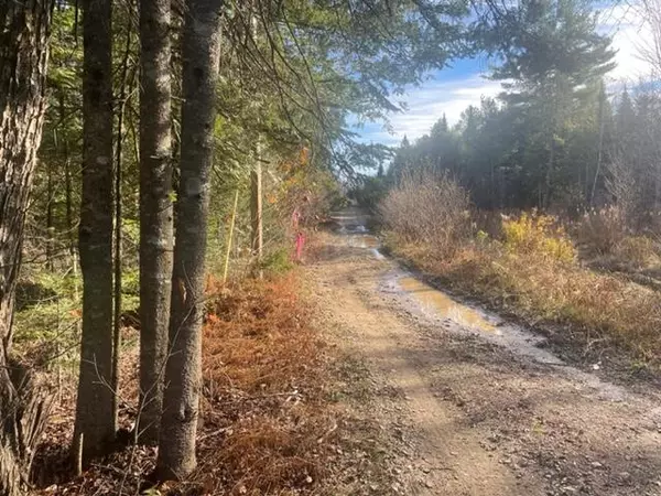 M2 L21 South Ridge RD, Palmyra, ME 04965