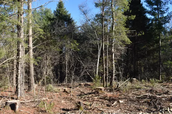 Prentiss Twp T7 R3 Nbpp, ME 04487,TBD Tar Ridge RD
