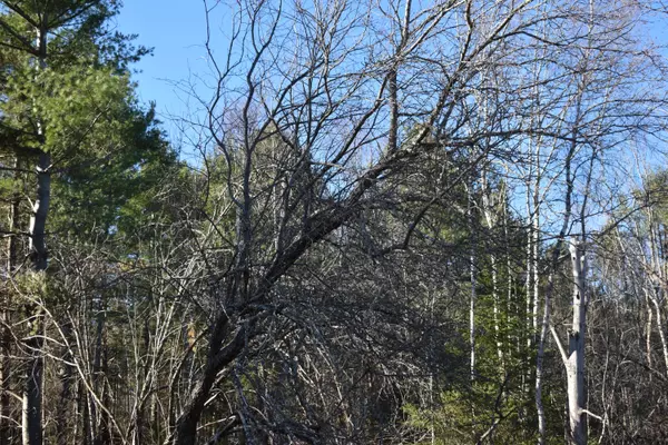 Prentiss Twp T7 R3 Nbpp, ME 04487,TBD North RD