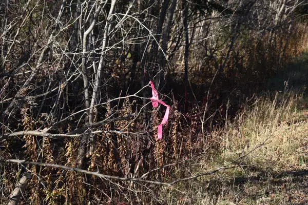 Prentiss Twp T7 R3 Nbpp, ME 04487,TBD North RD