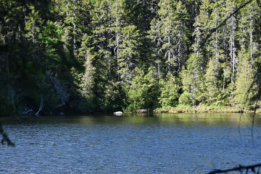 156 Upper Dark Cove RD, Weston, ME 04424