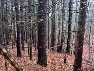 Wiscasset, ME 04578,P/O U19-8A Shady LN