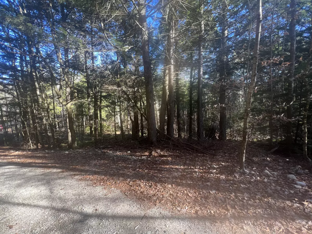 Orland, ME 04472,Lot 37 Wedge Heights RD