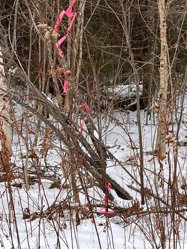 Rumford, ME 04276,Lot 3 S Rumford RD