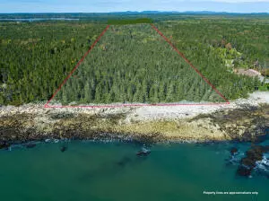 Milbridge, ME 04658,0 Tom Leighton Point RD