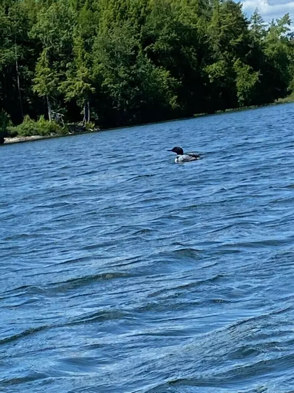 Lee, ME 04455,6 Hideaway LN