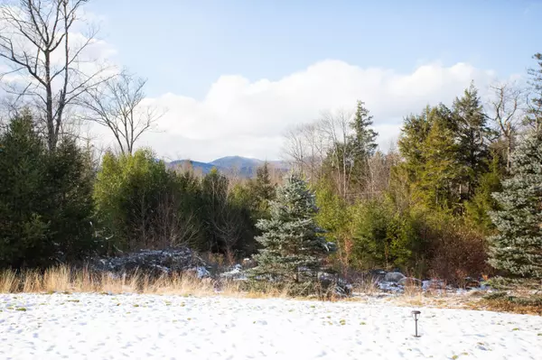 Stow, ME 04037,191 Meadow RD