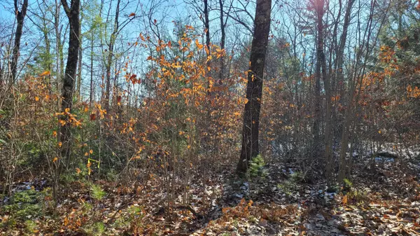 Naples, ME 04055,Lot 4 Dunton RD