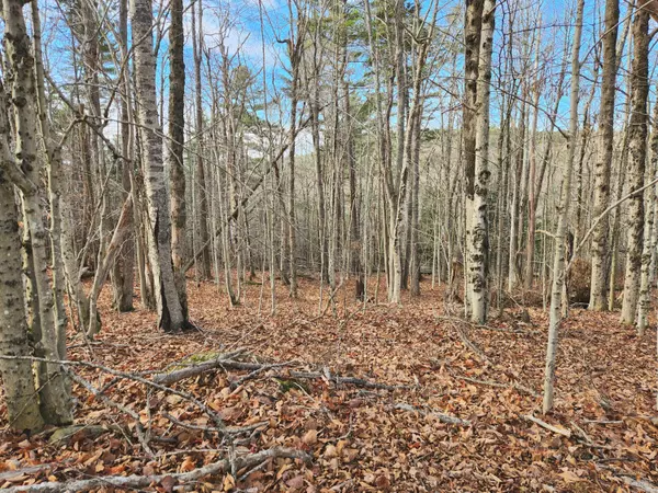 Verona Island, ME 04416,0 Verona PARK