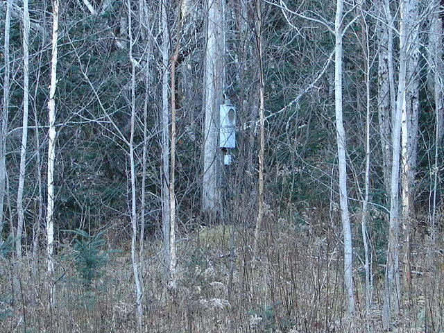 10 Gardner Lake Road RD, Whiting, ME 04691