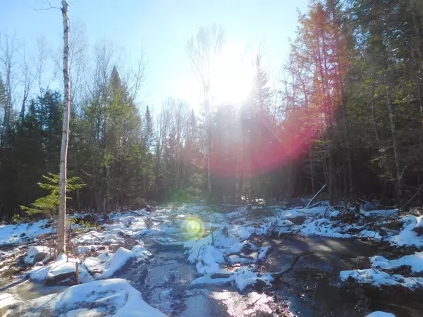 Map 12 Lot 60-2 East Ridge Road, Greenbush, ME 04418