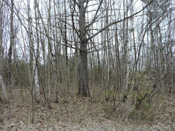 Lot 24-2 Bear Hill RD, Dover-foxcroft, ME 04426