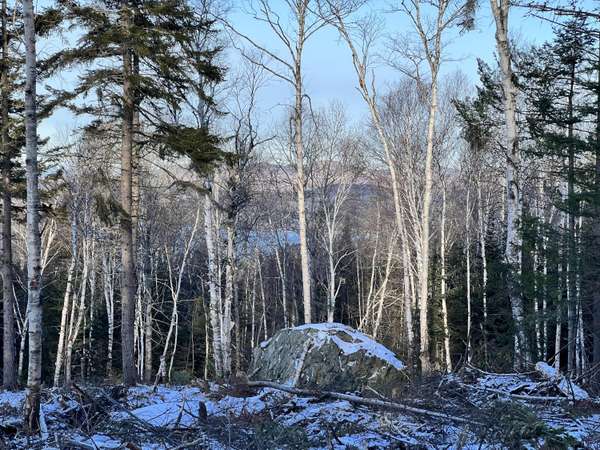 Lot  37 Barbara LN, Sandy River Plt, ME 04970