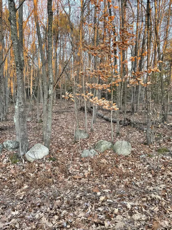 Denmark, ME 04022,M 9 L 36 Berry RD