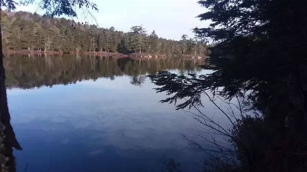 Liberty, ME 04949,27 Loon LNDG