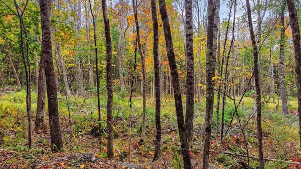 Newport, ME 04953,0 Pearls LN