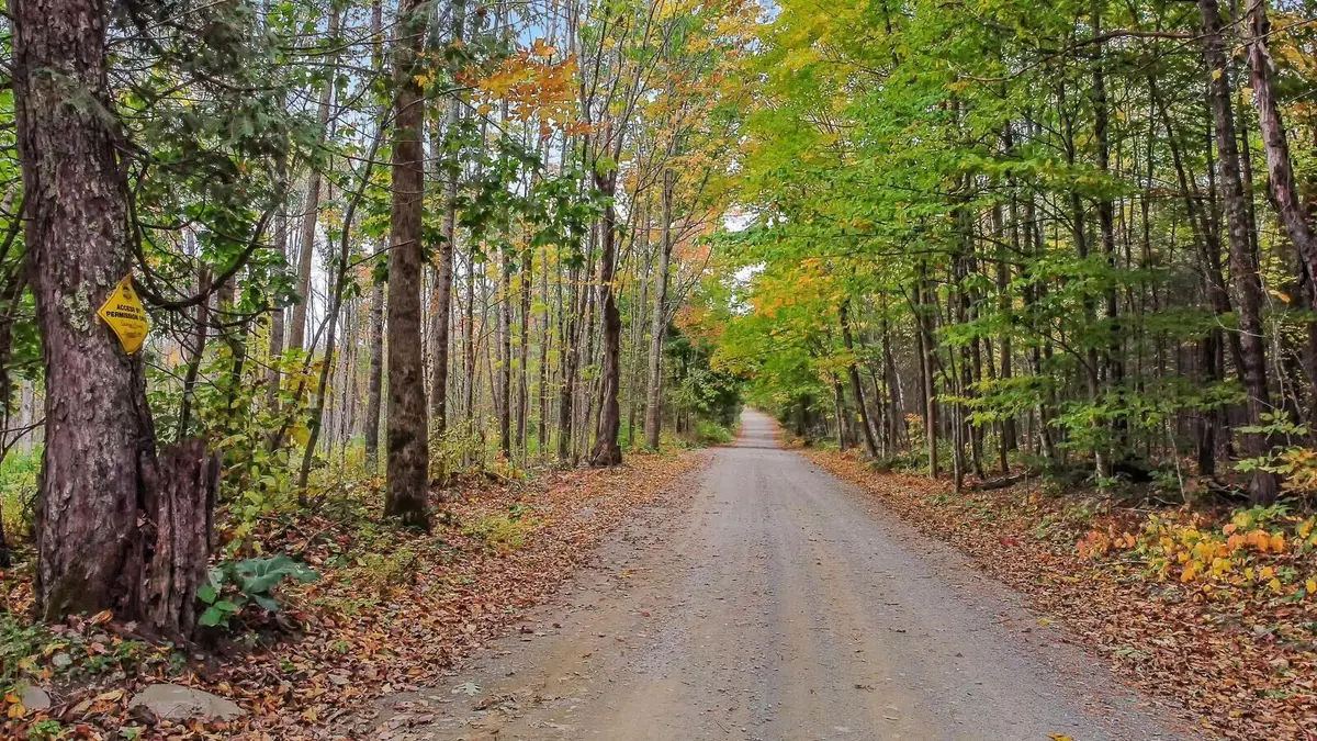 Newport, ME 04953,0 Pearls LN