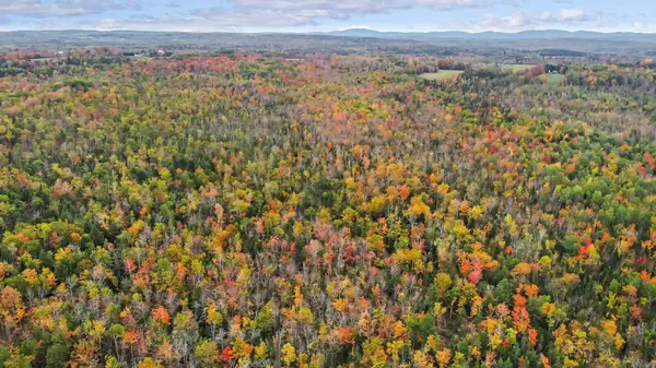 Newport, ME 04953,0 Pearls LN