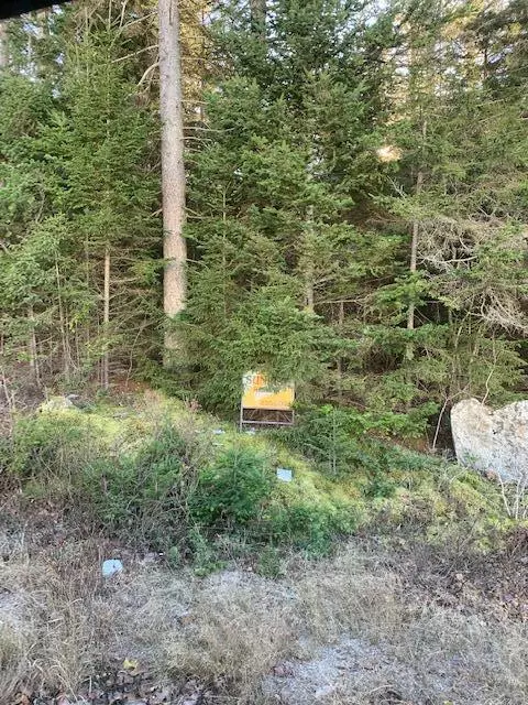 Machias, ME 04654,012 Elm ST