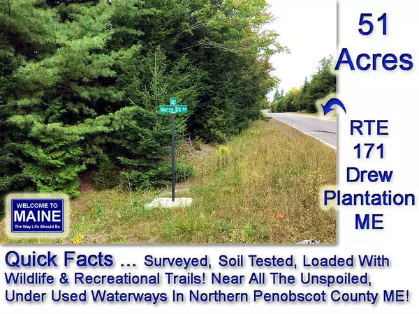 Lot 5 Route 171 RD, Drew Plt, ME 04497