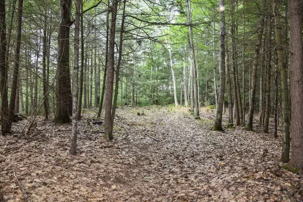 Freeport, ME 04032,49 Cranberry Ridge RD