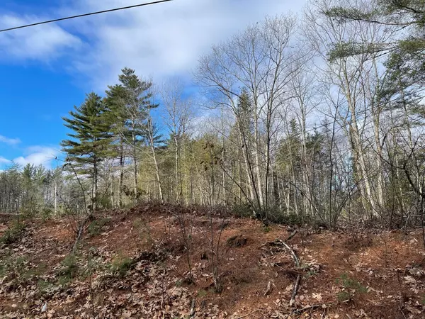 Greenbush, ME 04418,M 7 L 32-8 Middle River Road