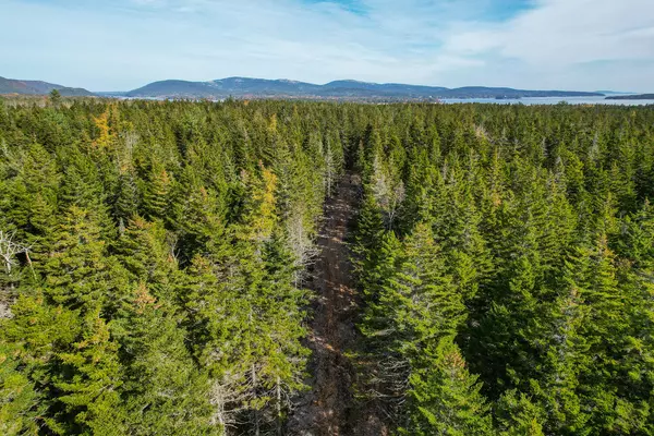 Southwest Harbor, ME 04679,000 Seawall Map/Lot 17/11-06