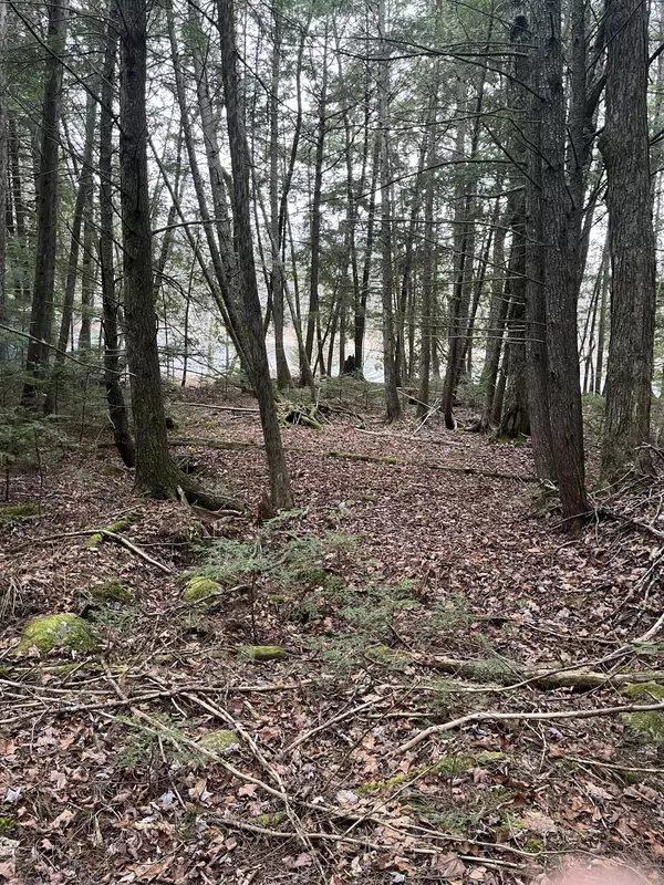 Palmyra, ME 04965,0 Gale RD