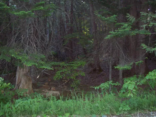 Lee, ME 04455,tbd Old Steamboat Road