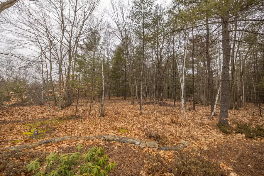 Lot # 56 Onamor DR, Newfield, ME 04095
