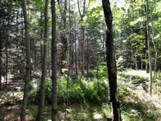 Rockport, ME 04856,00 Keller DR