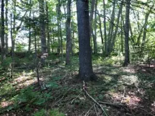 Rockport, ME 04856,00 Keller DR