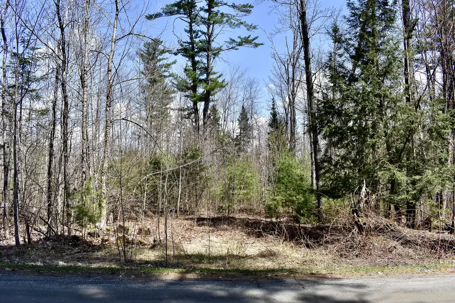Lot 19 Oldham RD, Saint Albans, ME 04971