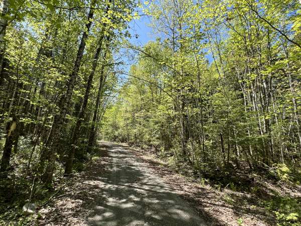 Lot 30 Mountain RD, Linneus, ME 04730