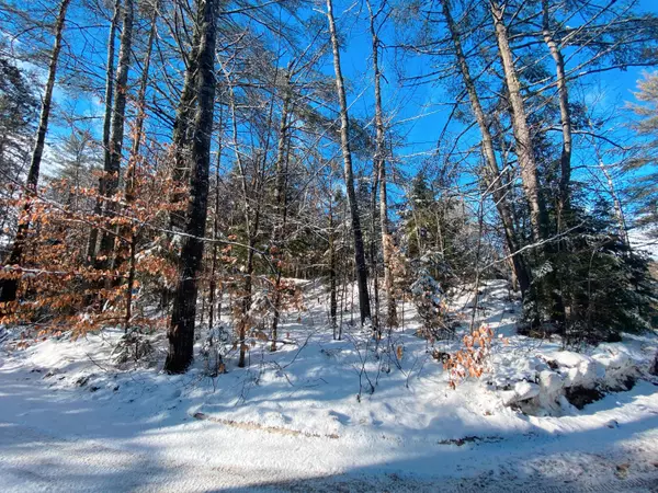 Milton Twp, ME 04219,Lot 2A Grubb Smith Knoll