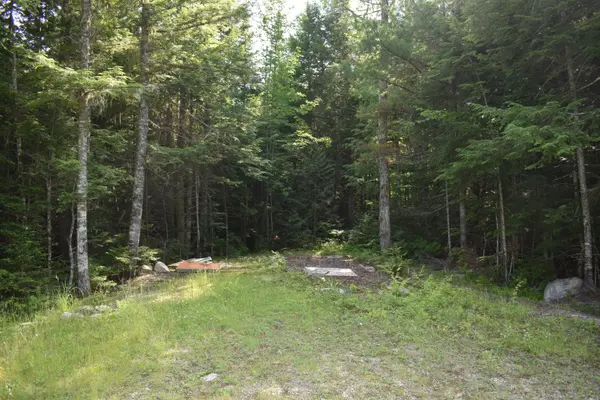 Lakeville, ME 04487,Lot 1 Horseshoe Lake RD