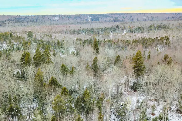 Friendship, ME 04547,Lot 5 Map 105, Cushing RD