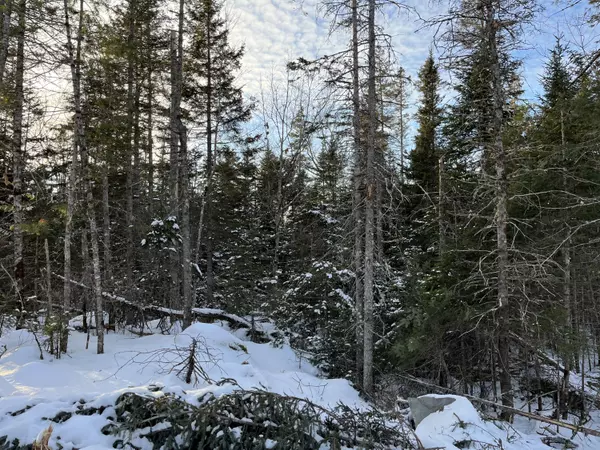 Sedgwick, ME 04676,049 Sis Porter RD