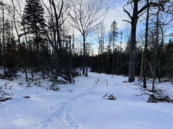 Sedgwick, ME 04676,049 Sis Porter RD