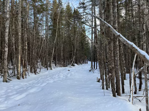 Sedgwick, ME 04676,049 Sis Porter RD