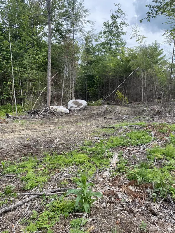 Otisfield, ME 04270,R12 Lot 17 South Tamworth RD