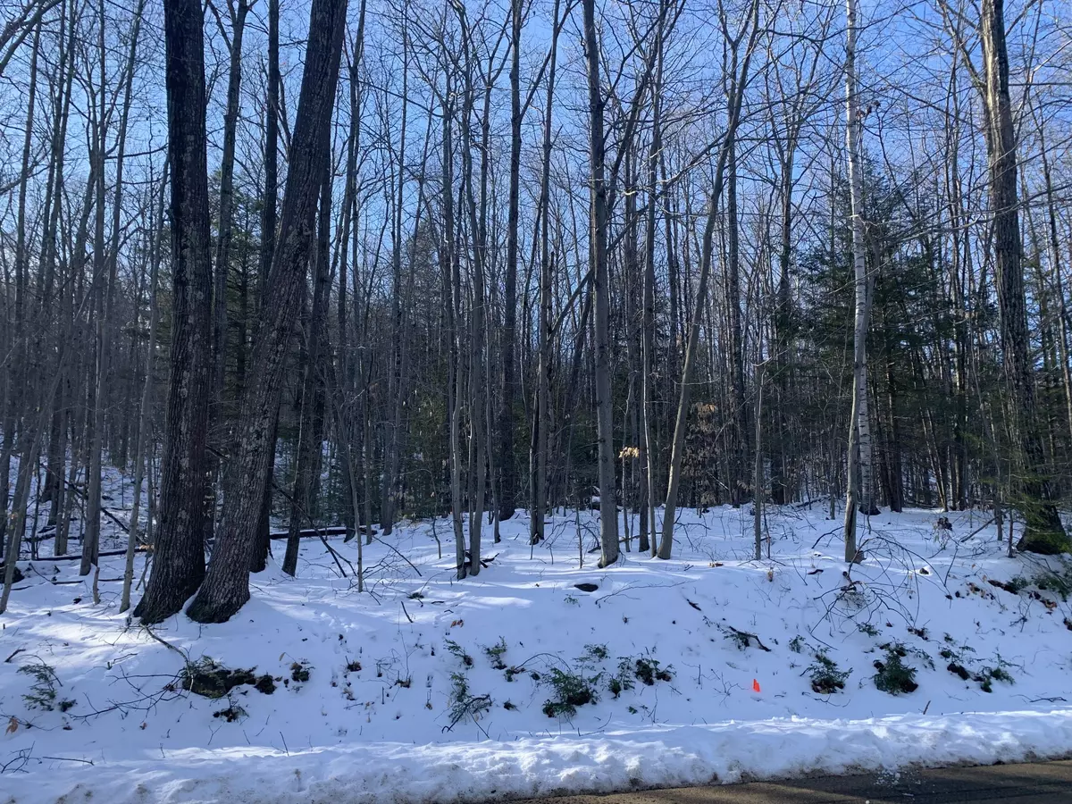 North Berwick, ME 03906,Lot 55 Ford Quint RD