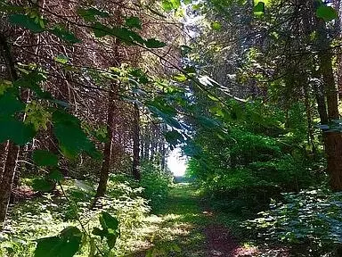 Fort Fairfield, ME 04742,374 Currier RD