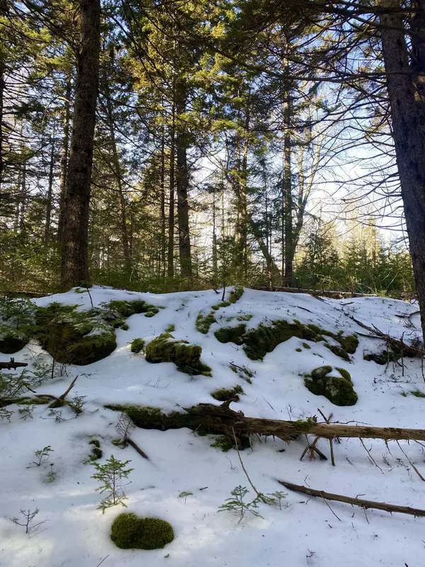 Tremont, ME 04674,047C Tremont RD